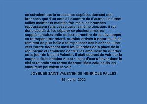 PALLES 210- SAINT VALENTIN A ORAN (3)